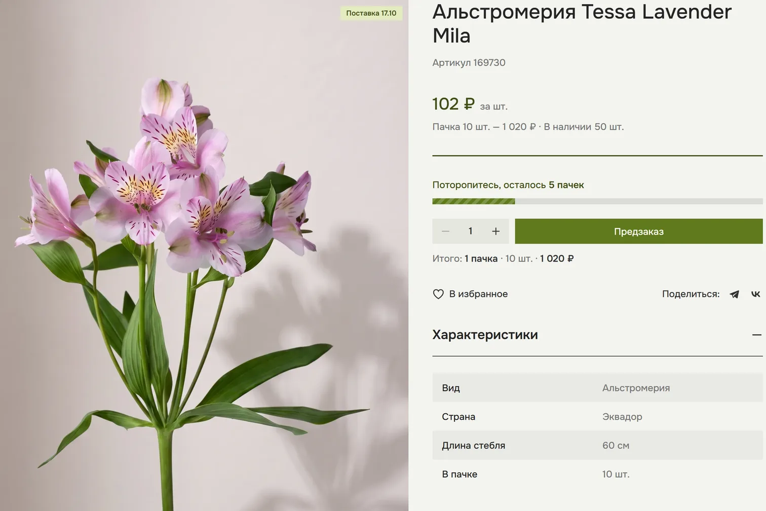 Карточка товара с плашкой «Поставка 16.10» и кнопкой «Предзаказ»